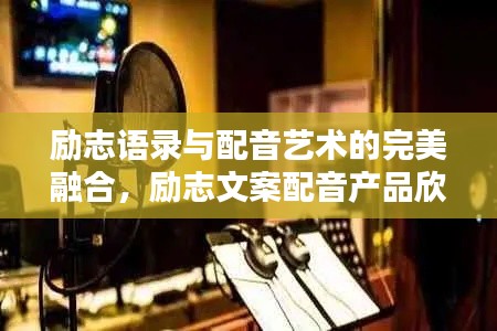 励志语录与配音艺术的完美融合,励志文案配音产品欣赏
