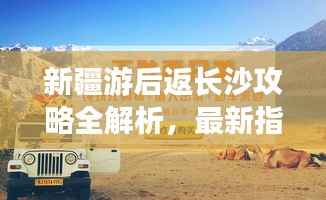 新疆游后返长沙攻略全解析,最新指南助你顺利归途