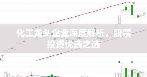 化工龙头企业深度解析，股票投资优选之选