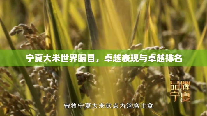宁夏大米世界瞩目,卓越表现与卓越排名