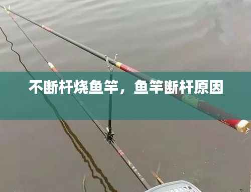 不断杆烧鱼竿,鱼竿断杆原因