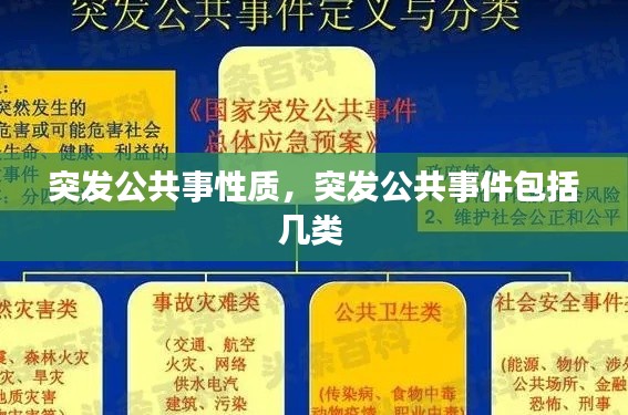 突发公共事性质,突发公共事件包括几类