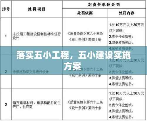 落实五小工程,五小建设实施方案