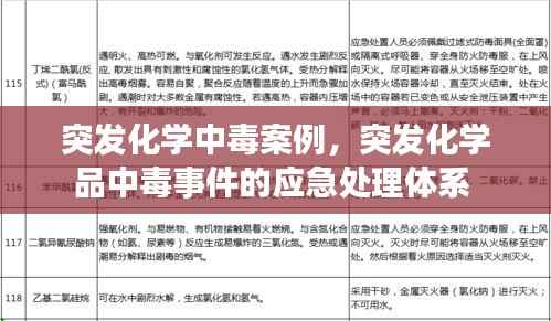 突发化学中毒案例,突发化学品中毒事件的应急处理体系