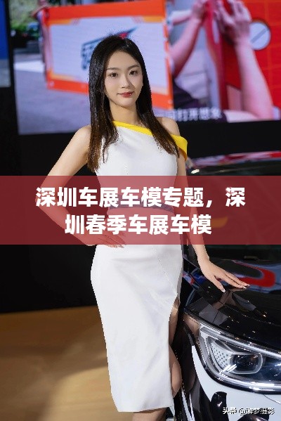 深圳车展车模专题，深圳春季车展车模 