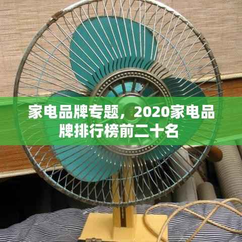 家电品牌专题，2020家电品牌排行榜前二十名 