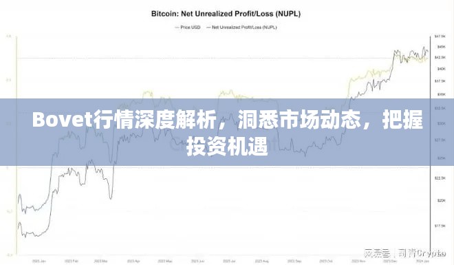 Bovet行情深度解析,洞悉市场动态,把握投资机遇