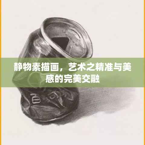 静物素描画,艺术之精准与美感的完美交融