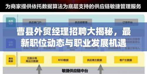 曹县外贸经理招聘大揭秘，最新职位动态与职业发展机遇