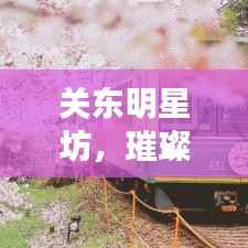 关东明星坊，璀璨星辰照亮东北文化之路