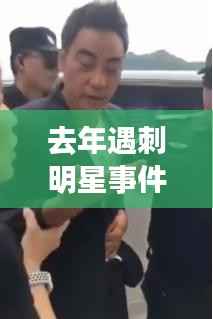 去年遇刺明星事件，娱乐圈暴力震惊世界