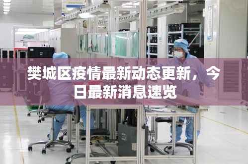 樊城区疫情最新动态更新,今日最新消息速览