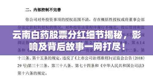 云南白药股票分红细节揭秘,影响及背后故事一网打尽!