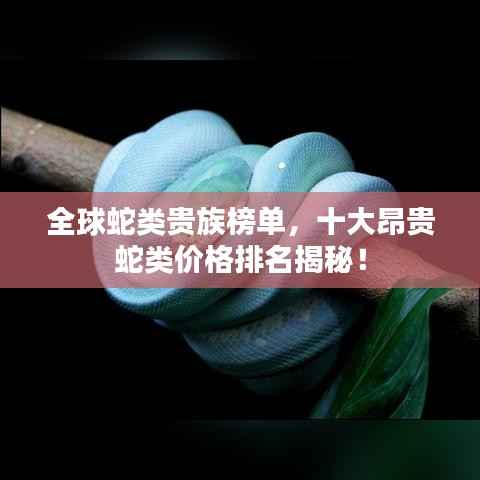 全球蛇类贵族榜单,十大昂贵蛇类价格排名揭秘!