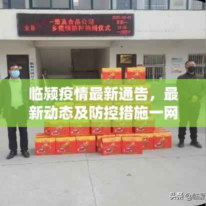 临颍疫情最新通告，最新动态及防控措施一网打尽